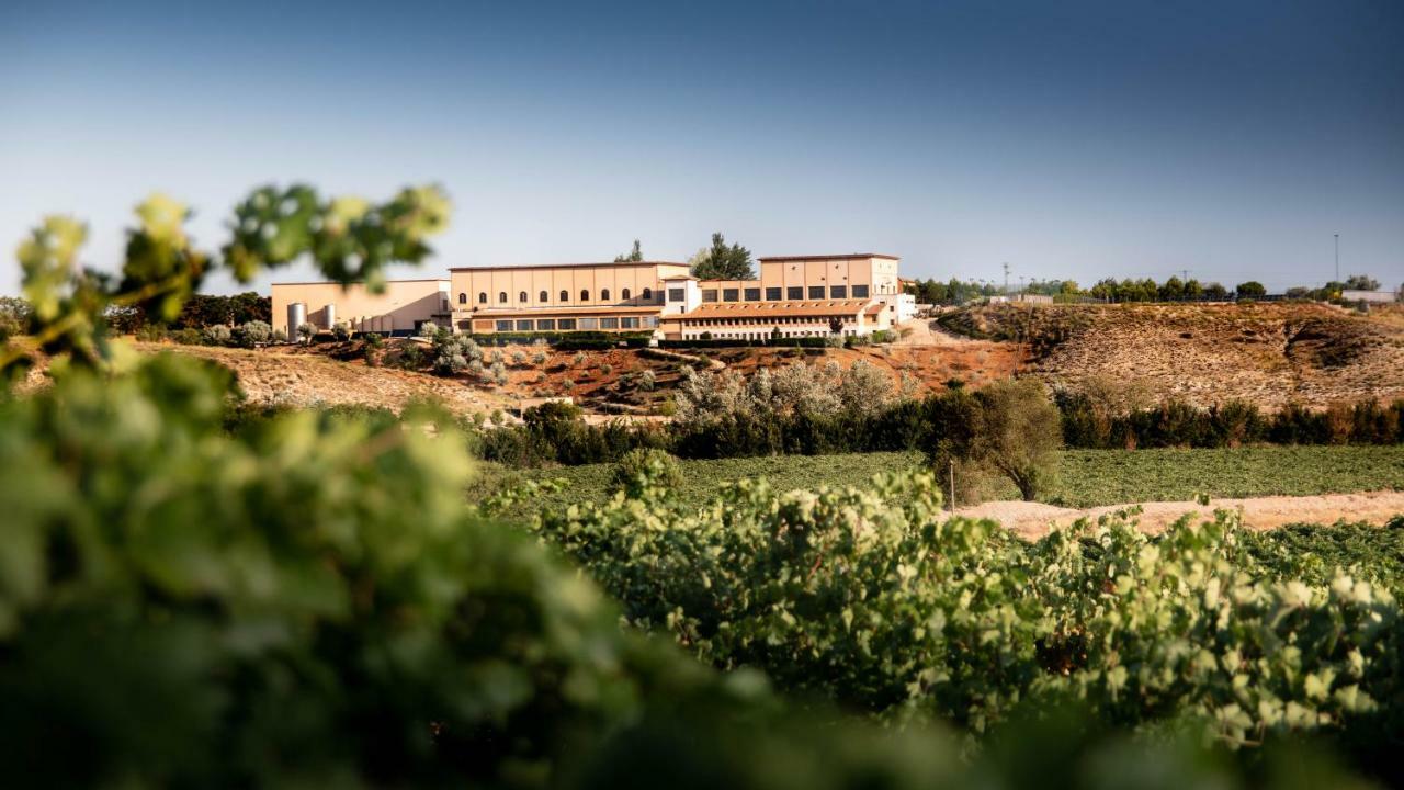 Complejo Enoturistico Finca La Estacada Tarancón Esterno foto